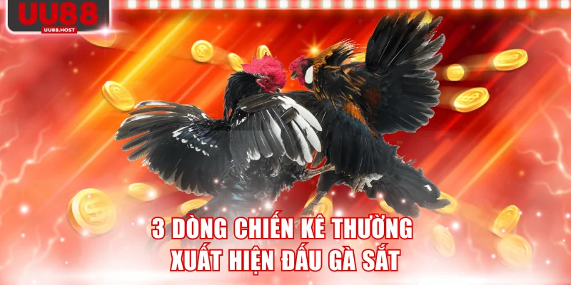 3 dòng chiến kê thường xuất hiện đấu gà sắt