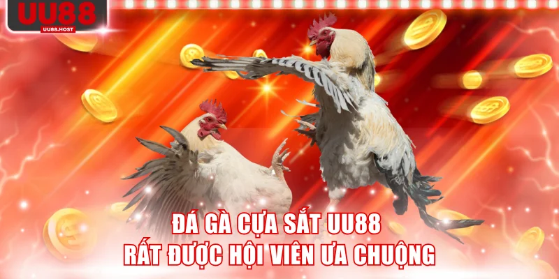 Đá gà cựa sắt UU88 rất được hội viên ưa chuộng