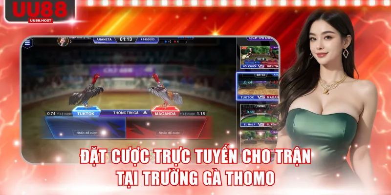 Đặt cược trực tuyến cho trận tại trường gà Thomo