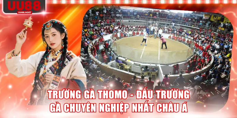 Trường gà Thomo